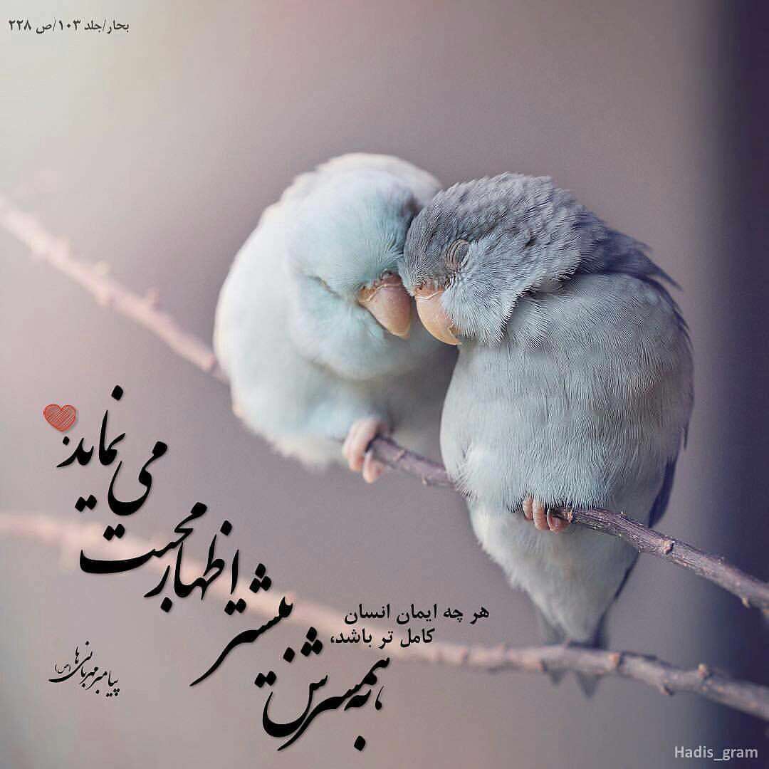 حدیثی از پیامبر اکرم